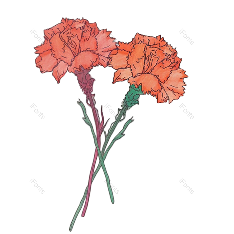 花朵背景图片,花朵素材元素,花朵边框PNG,免抠素材